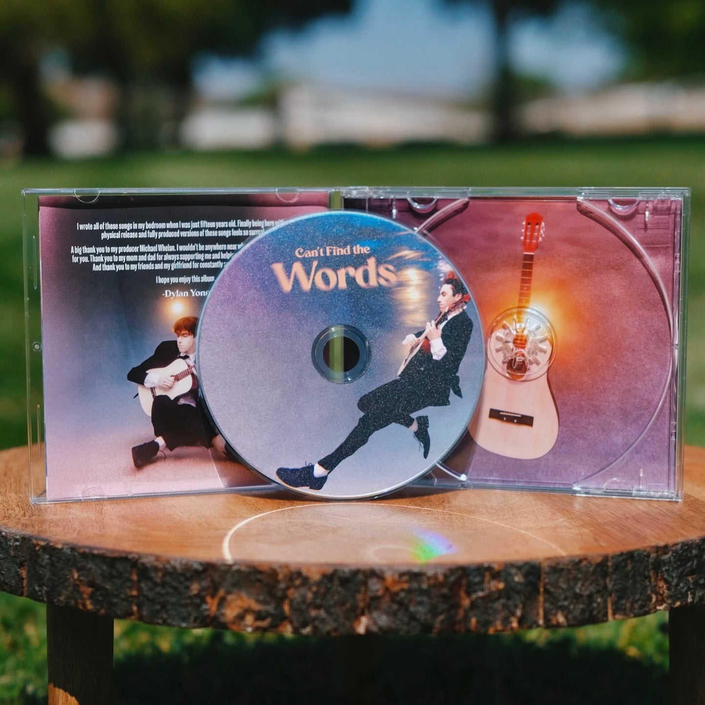 Can't Find the Words CD