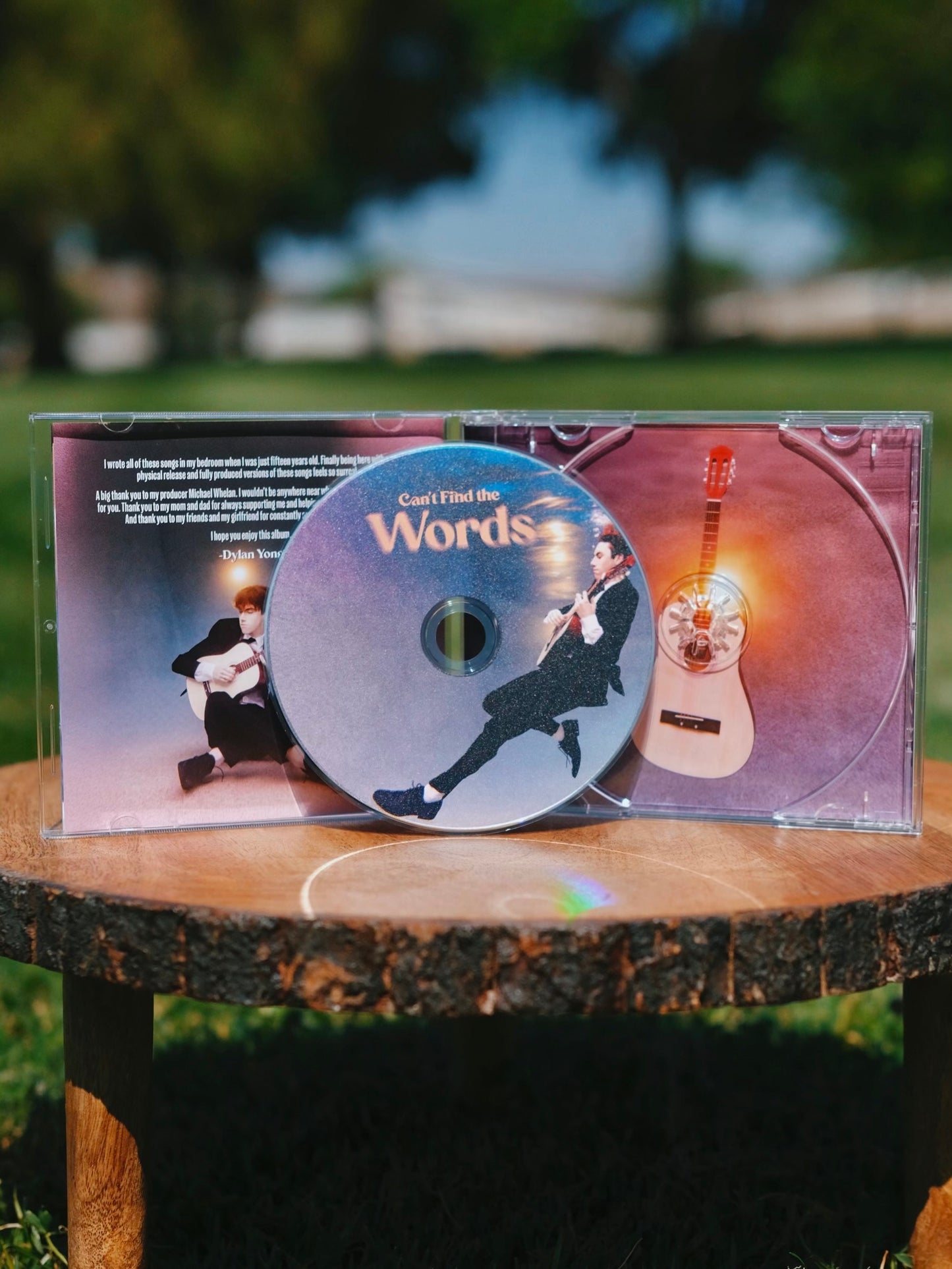 Can't Find the Words CD